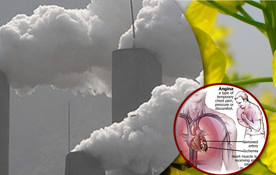 bệnh tim mạch do ô nhiễm không khí