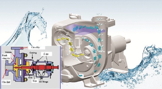 cấu tạo và nguyên lý hoạt động máy bơm nước