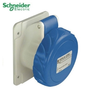 Ổ cắm âm dạng thẳng 2P 81690 schneider 125A IP67